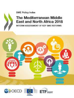 SME Policy Index: The Mediterranean Middle East and North Africa 2018 – Interim assessment of key SME reforms 